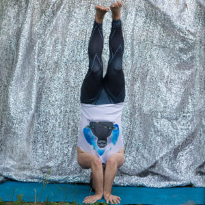 Sirsasana 3 in June 4th 2018. I join both teams again. Haven't practiced this headstand variation much, and getting legs fully extended is tough, like in mukta hasta sirsasana.