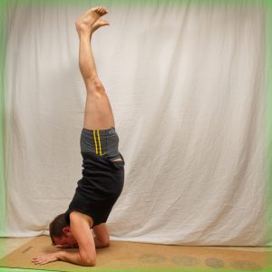 Forearm stand in March 5th 2019. I go for  Forearmstand or  Feathered Peacock Pose tonight. Was able to hold for about ten seconds. Happy humpday!