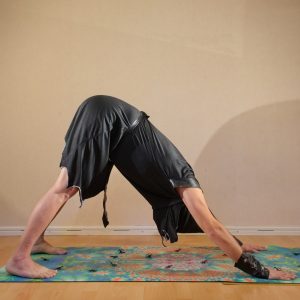 Downward Facing Dog in October 27th 2019. Halloween is around the corner, so I use my Executioner outfit today. I bring a regular Adho Mukha Svanasana or Downward Facing Dog with company of my