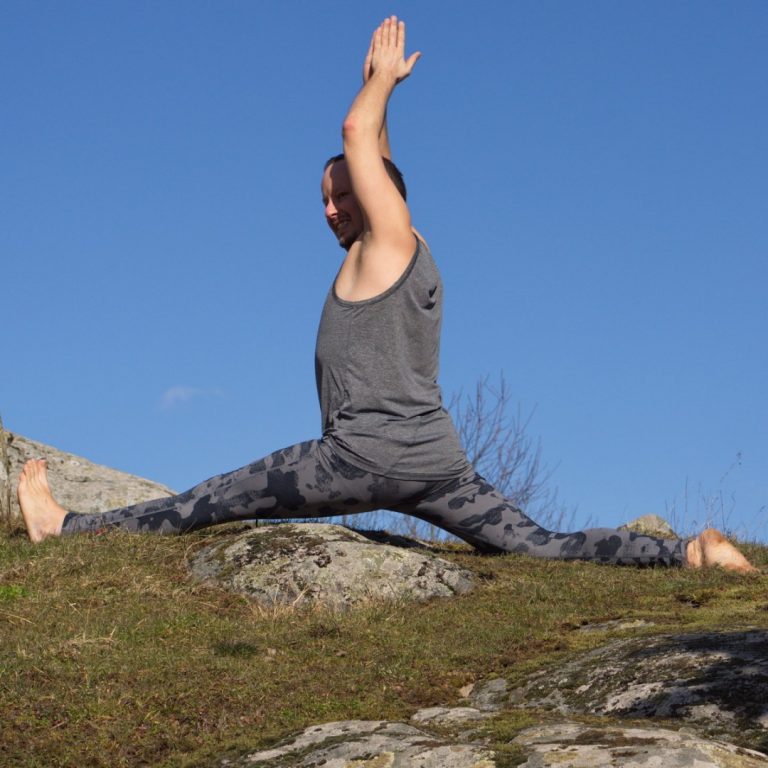12+ Flying Lizard Pose Sanskrit Yoga Poses